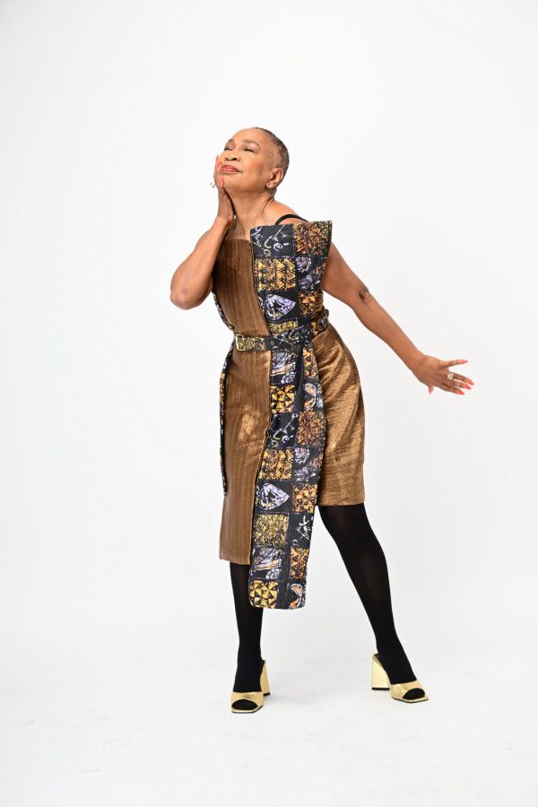 Yelé Armored Dress